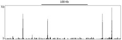 TIF1 Alpha/TRIM24 Rabbit anti-Human, Mouse, Polyclonal, Bethyl Laboratories