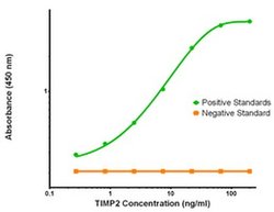 TIMP2 Mouse anti-Human, Biotin, Clone: OTI3H8, liquid, TrueMAB 50 &mu;g;