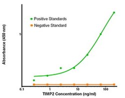 TIMP2 Mouse anti-Human, Biotin, Clone: OTI3H8, liquid, TrueMAB 50 &mu;g;