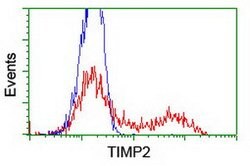 TIMP2 Mouse anti-Human, Clone: OTI2G7, lyophilized, TrueMAB 100 &mu;g;