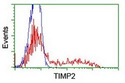 TIMP2 Monoclonal Antibody (OTI1D7), TrueMAB , OriGene 100 &mu;L; Unconjugated:Antibodies,