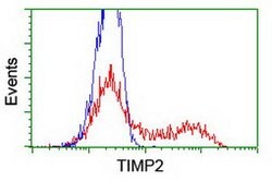 TIMP2 Mouse anti-Human, Clone: OTI1B11, lyophilized, TrueMAB 100 &mu;g;