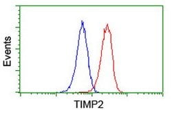 TIMP2 Mouse anti-Human, Clone: OTI1B11, lyophilized, TrueMAB 100 &mu;g;