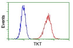 TKT Mouse anti-Human, Clone: OTI5H3, lyophilized, TrueMAB 100 &mu;g; Unconjugated:Antibodies,