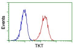TKT Mouse anti-Human, Clone: OTI5H3, lyophilized, TrueMAB 100 &mu;g; Unconjugated:Antibodies,
