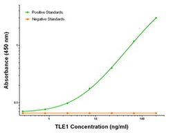 TLE1 Mouse anti-Human, Clone: OTI2D8, liquid, TrueMAB 100 &mu;g; Unconjugated:Antibodies,