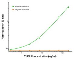 TLE1 Mouse anti-Human, Clone: OTI2D8, liquid, TrueMAB 100 &mu;g; Unconjugated:Antibodies,