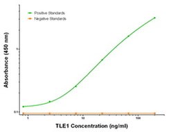 TLE1 Mouse anti-Human, Clone: OTI2D8, liquid, TrueMAB 100 &mu;g; Unconjugated:Antibodies,