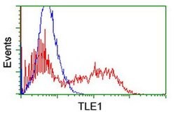 TLE1 Monoclonal Antibody (OTI1F9), TrueMAB , OriGene 100 &mu;L; Unconjugated:Antibodies,