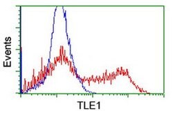 TLE1 Monoclonal Antibody (OTI2D8), TrueMAB , OriGene 100 &mu;L; Unconjugated:Antibodies,