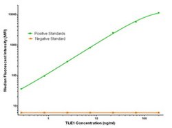 TLE1 Mouse anti-Human, Clone: OTI2D8, liquid, TrueMAB 100 &mu;g; Unconjugated:Antibodies,