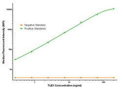 TLE1 Mouse anti-Human, Clone: OTI2D8, liquid, TrueMAB 100 &mu;g; Unconjugated:Antibodies,