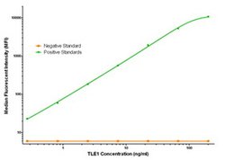 TLE1 Mouse anti-Human, Clone: OTI2D8, liquid, TrueMAB 100 &mu;g; Unconjugated:Antibodies,