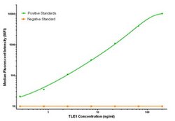 TLE1 Mouse anti-Human, Clone: OTI2D8, liquid, TrueMAB 100 &mu;g; Unconjugated:Antibodies,