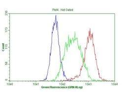 TLK2 Monoclonal Antibody (OTI2H2), TrueMAB , OriGene 30 &mu;L; Unconjugated:Antibodies,