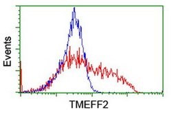 TMEFF2 Monoclonal Antibody (OTI3D1), TrueMAB , OriGene:Antibodies:Primary
