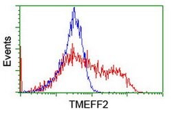 TMEFF2 Mouse anti-Human, Clone: OTI4G2, lyophilized, TrueMAB 100 &mu;g | Buy Online | OriGene | Fisher Scientific
