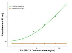 TMEM173 Mouse anti-Human, Clone: OTI4E12, liquid, TrueMAB 100 &mu;g; Unconjugated:Antibodies,