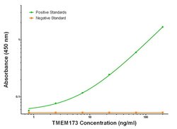 TMEM173 Mouse anti-Human, Clone: OTI1G5, liquid, TrueMAB 100 &mu;g; Unconjugated:Antibodies,