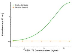 TMEM173 Mouse anti-Human, Clone: OTI1G5, liquid, TrueMAB 100 &mu;g; Unconjugated:Antibodies,