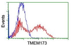 TMEM173 Mouse anti-Human, Clone: OTI1G5, lyophilized, TrueMAB 100 &mu;g;