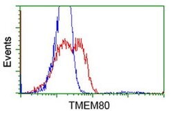TMEM80 Monoclonal Antibody (OTI3B6), TrueMAB , OriGene 100 &mu;L; Unconjugated:Antibodies,