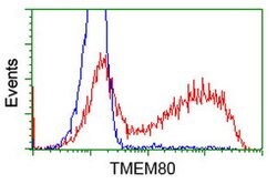 TMEM80 Mouse anti-Human, Clone: OTI2B7, lyophilized, TrueMAB 100 &mu;g;