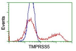 TMPRSS5 Mouse anti-Human, Clone: OTI4A11, lyophilized, TrueMAB 100 &mu;g;