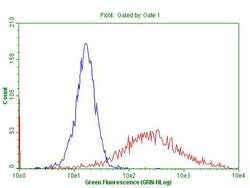 TNFA Monoclonal Antibody (OTI5H8), TrueMAB , OriGene 100 &mu;L; Unconjugated:Antibodies,