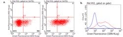 TNFRSF18 Monoclonal Antibody (OTI1A3), TrueMAB , OriGene:Antibodies:Primary