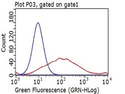 TNFRSF4 Monoclonal Antibody (OTI2B7), TrueMAB , OriGene 30 &mu;L; Unconjugated:Antibodies,