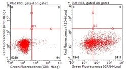 TNFRSF8 Monoclonal Antibody (OTI18D3), TrueMAB , OriGene 100 &mu;L; Unconjugated:Antibodies,