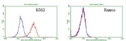 TNFRSF8 Monoclonal Antibody (OTI18D3), TrueMAB , OriGene 100 &mu;L; Unconjugated:Antibodies,