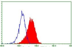 TNFRSF8 Monoclonal Antibody (OTI18D3), TrueMAB , OriGene 100 &mu;L; Unconjugated:Antibodies,