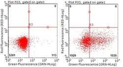 TNFRSF8 Monoclonal Antibody (OTI13D8), TrueMAB , OriGene 100 &mu;L; Unconjugated:Antibodies,