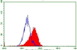 TNFRSF8 Monoclonal Antibody (OTI1B2), TrueMAB , OriGene 100 &mu;L; Unconjugated:Antibodies,