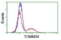 TOMM34 Monoclonal Antibody (OTI 2E11), TrueMAB , OriGene 30 &mu;L; Unconjugated:Antibodies,