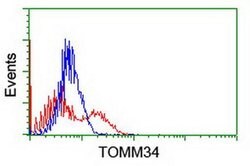 TOMM34 Monoclonal Antibody (OTI1B4), TrueMAB , OriGene:Antibodies:Primary