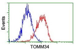 TOMM34 Mouse anti-Human, Clone: OTI1G7, liquid, TrueMAB 100 &mu;L; Unconjugated:Antibodies,