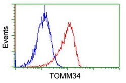 TOMM34 Mouse anti-Human, Clone: OTI1G7, liquid, TrueMAB 100 &mu;L; Unconjugated:Antibodies,
