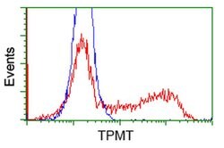 TPMT Monoclonal Antibody (OTI4C1), TrueMAB , OriGene:Antibodies:Primary