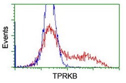 TPRKB Mouse anti-Human, Clone: OTI3H3, lyophilized, TrueMAB 100 &mu;g;