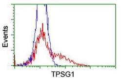 TPSG1 Monoclonal Antibody (OTI1E6), TrueMAB , OriGene:Antibodies:Primary