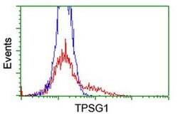 TPSG1 Monoclonal Antibody (OTI1E11), TrueMAB , OriGene:Antibodies:Primary