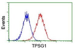 TPSG1 Monoclonal Antibody (OTI1G1), TrueMAB , OriGene 100 &mu;L; Unconjugated:Antibodies,