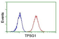TPSG1 Monoclonal Antibody (OTI1G1), TrueMAB , OriGene 100 &mu;L; Unconjugated:Antibodies,