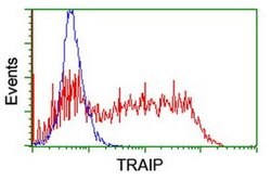TRAIP Monoclonal Antibody (OTI3E1), TrueMAB , OriGene:Antibodies:Primary