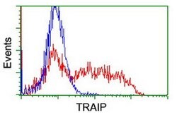 TRAIP Monoclonal Antibody (OTI3A4), TrueMAB , OriGene:Antibodies:Primary