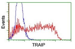 TRAIP Mouse anti-Human, Clone: OTI1G3, lyophilized, TrueMAB 100 &mu;g;