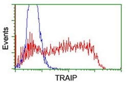 TRAIP Monoclonal Antibody (OTI1G3), TrueMAB , OriGene:Antibodies:Primary